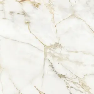 Calacatta Oro Splashback