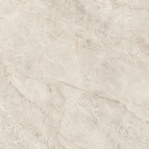 Taj Mahal Splashback